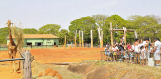 Confira o que abre e o que fecha no DF no feriado de Tiradentes e do aniversário de Brasília