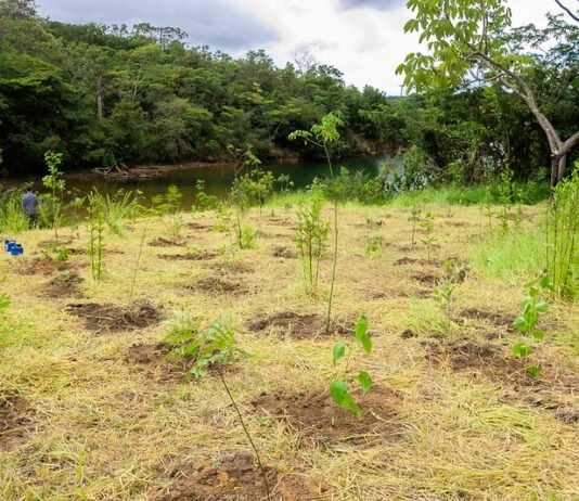 Congresso eleito para 2027 terá menor alinhamento à pauta ambiental