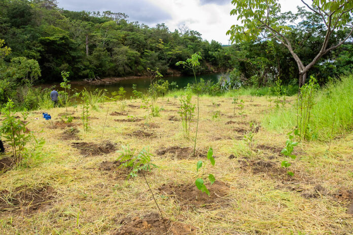 GDF cria Parque Distrital da Serrinha e reforça proteção ambiental no Lago Norte brasilia