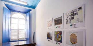 Governo de Goiás lança edital de artes visuais para Fica 2026