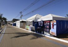 Festa de Trindade se aproxima e Goinfra abre inscrições para barracas comerciais na Rodovia dos Romeiros
