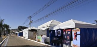 Festa de Trindade se aproxima e Goinfra abre inscrições para barracas comerciais na Rodovia dos Romeiros