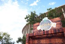 Festival da Cachaça de Brasília chega ao último dia com música e gastronomia diversa