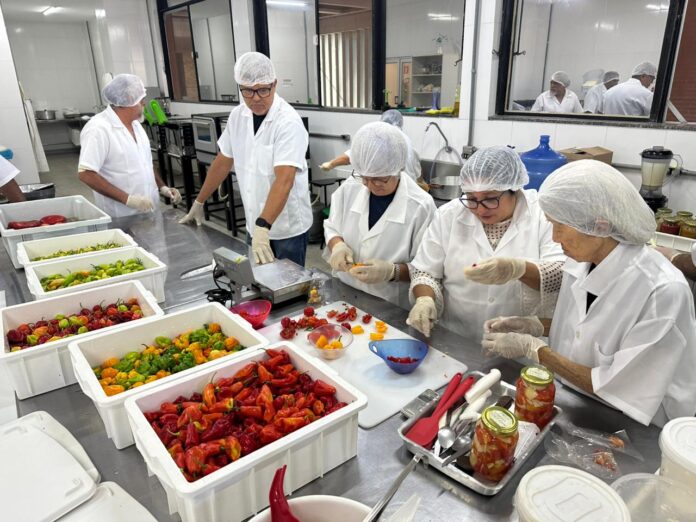 Curso apresenta alternativa de geração de renda com pimentas especiais brasilia
