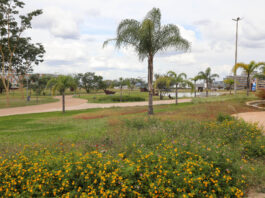 Construído após 48 anos de espera, Jardim Burle Marx transforma área central de Brasília