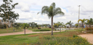 Construído após 48 anos de espera, Jardim Burle Marx transforma área central de Brasília