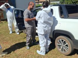 Mesmo sem casos em 2026, GDF empreende ações contínuas de prevenção contra a gripe aviária