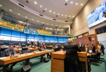 CLDF aprova proposta que reconhece carreira de gestão governamental
