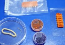Embrapa desenvolve alimentos impressos em 3D que reproduzem salmão, caviar e lula com base vegetal