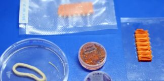 Embrapa desenvolve alimentos impressos em 3D que reproduzem salmão, caviar e lula com base vegetal