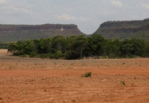 Fragmentação da vegetação nativa cresce 260% no Brasil em quase quatro décadas, aponta MapBiomas