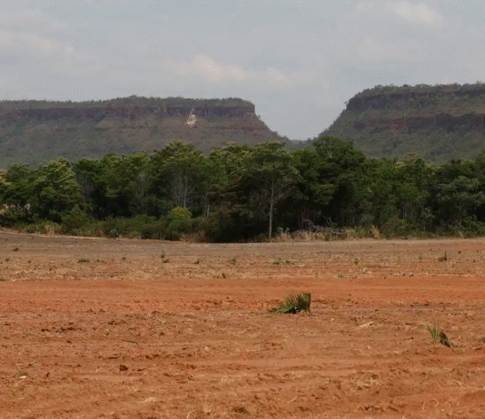 Fragmentação da vegetação nativa cresce 260% no Brasil em quase quatro décadas, aponta MapBiomas