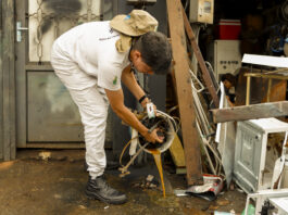A principal forma de prevenir a dengue e a chikungunya é eliminar possíveis fontes de reprodução do mosquito transmissor