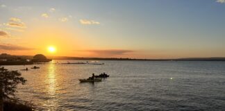 GDF regulamentará captura do pirarucu para proteger ecossistemas aquáticos do DF