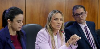 Pesquisa inédita do GDF busca entender motivações de feminicidas e reforçar combate à violência contra a mulher