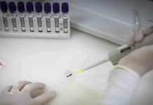 São Paulo investiga novo caso suspeito de ebola