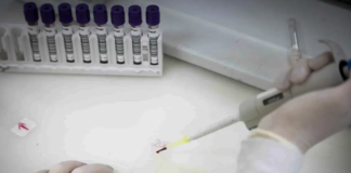 São Paulo investiga novo caso suspeito de ebola