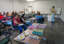 Saiba como funciona assistência técnica e extensão rural gratuita para produtores no DF