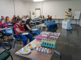 Saiba como funciona assistência técnica e extensão rural gratuita para produtores no DF