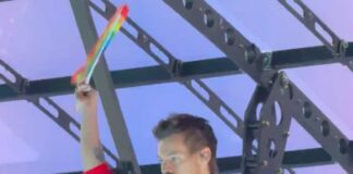 Harry Styles canta “Magalenha” em português e emociona fãs em show no Brasil