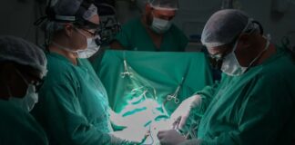 OMS elogia SUS e aponta sistema brasileiro como referência mundial em saúde pública