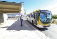 Ônibus na palma da mão