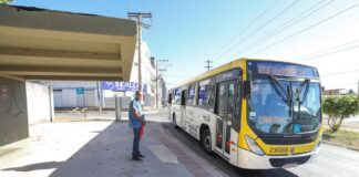 Ônibus na palma da mão