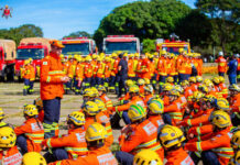 Operação Verde Vivo intensifica combate a incêndios durante estiagem no DF