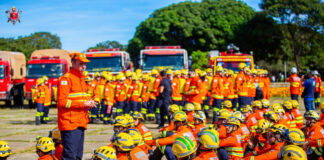 Operação Verde Vivo intensifica combate a incêndios durante estiagem no DF