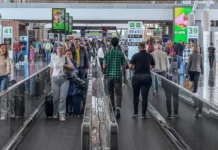 Serviços crescem 2% no primeiro semestre