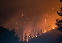 DF chega a 54 dias sem chuva e reforça combate a incêndios