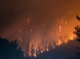DF chega a 54 dias sem chuva e reforça combate a incêndios