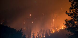 DF chega a 54 dias sem chuva e reforça combate a incêndios
