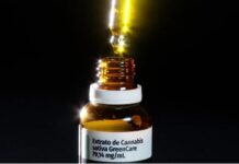 Importações de cannabis medicinal sobem 29% no Brasil