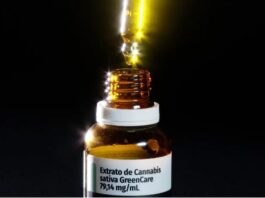 Cannabis medicinal: associações cobram regras mais claras para cultivo e controle