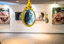 CLDF recebe exposição que aborda reconstrução de mulheres após violência