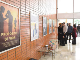 Festival Curtas que Transformam leva produções estudantis à votação popular