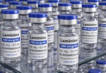 Polilaminina inicia primeira fase de testes clínicos em humanos neste mês