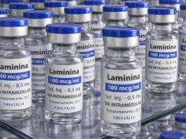 Polilaminina inicia primeira fase de testes clínicos em humanos neste mês