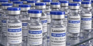 Polilaminina inicia primeira fase de testes clínicos em humanos neste mês