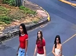 Quem está por trás dos planfletos com numero falso de Celina?