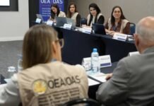 OEA classifica eleição brasileira como jornada cívica e pacífica